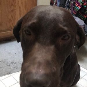 Meet your Posher, Kenny